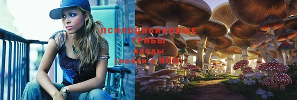 дживик Армянск